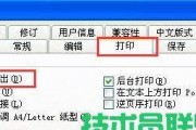 打印机屏幕字体变大怎么办？如何调整字体大小？