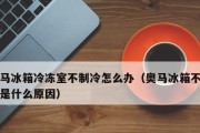 冰箱突然开机了不制冷（探寻冰箱失去制冷功能的原因与解决方法）