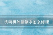 如何修理洗碗机开关漏水问题（解决洗碗机开关漏水的有效方法）