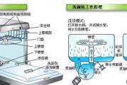 如何检查冰柜漏水（掌握冰柜漏水的检查方法）