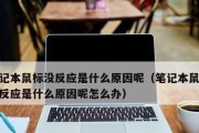 电脑无线鼠标不工作怎么办（解决电脑无线鼠标失灵的实用方法）