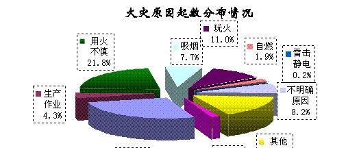 揭秘笔记本电脑起火的真相（探寻笔记本电脑起火原因及预防方法）