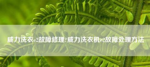 如何修理威力洗衣机报E2故障码（详细解决威力洗衣机E2故障的方法及注意事项）