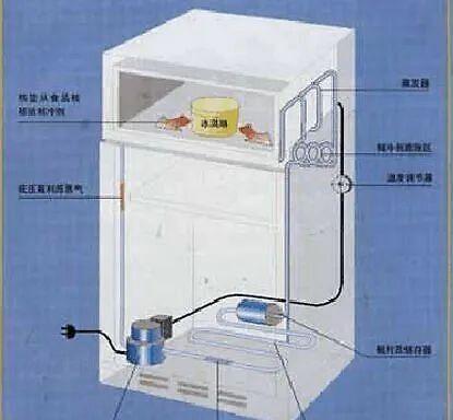 冰柜毛细管压力高的原因和解决办法（了解冰柜毛细管压力高的危害与预防方法）