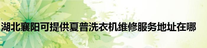 夏普洗衣机E30故障门打不开解决方法（探索夏普洗衣机E30故障的原因以及解决方案）