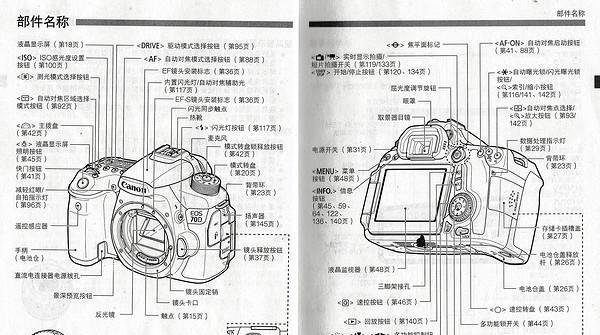 三洋牌投影仪颠倒问题处理方法（解决颠倒显示的技巧和注意事项）